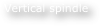 Vertical spindle