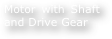 Motor with Shaft and Drive Gear