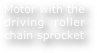 Motor with the driving roller chain sprocket
